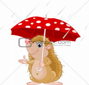 Hedgehog under umbrella presenting