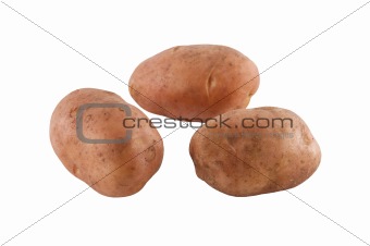 Potato isolated on white.