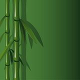 Vector background with bamboo