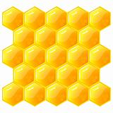 Honeycomb, isolated on the white. Vector.