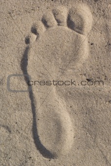 imprint of foot 