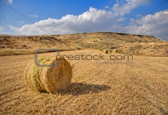 Hay Field