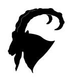 vector silhouette of the mountain ram on white background
