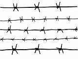 vector drawing of the barbed wire