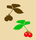 vector drawing of the berry bramble