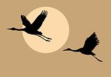vector silhouettes flying cranes on background sun