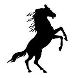 silhouette horse on white background