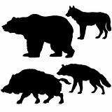 silhouettes of the wild boar, bear, wolf, hyena on white background