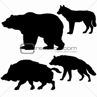 silhouettes of the wild boar, bear, wolf, hyena on white background