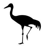 silhouette of the goinging crane on white background
