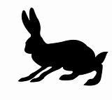 silhouette of the rabbit isolated on white background