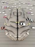 Car Brain