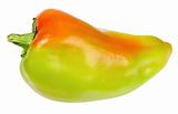 Single green-red fresh pepper