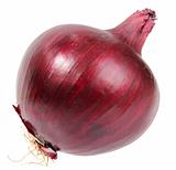 Single a dark-red fresh onion