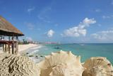 sea shells in Playa del Carmen Quintana Roo