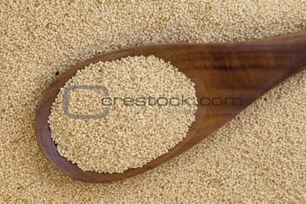 amaranth grain and spoon