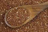 red quinoa grain and spoon