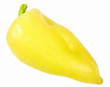 Single yellow fresh pepper