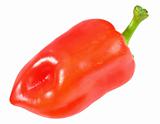 Single red fresh pepper