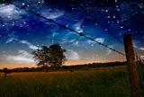Starry Night and Farmers Fence and field