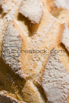 bread texture