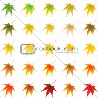 Vector autumn leaves 