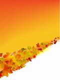 Autumn vector background
