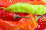 Background of multicolored chilli-peppers