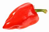 Single red fresh pepper