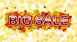 Vector autumn big sale