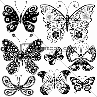 Collection black and white butterflies