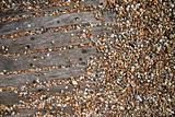brighton beach pebbles background