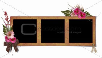 frame with a bouquet of flowers hollyhocks.