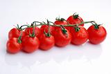 Tomatoes in white background