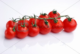 Tomatoes in white background