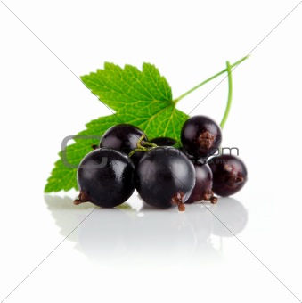 fresh currant fruits with green leaves