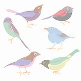 set of cute vector birds