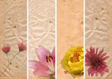 lovely banners with floral elements 