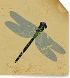 The dried dragonfly on old book sheet. Vector