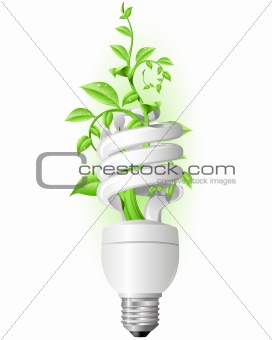 Lamp with plant