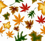 Autumnal concept seamless background. Vector