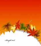 Autumn vector background with leaf