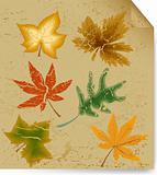 Autumn art leaf vintage background. Vector
