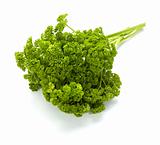 salad parsley food vegetable vegetarian cooking