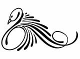 Vector illustration of design hand drawn swan