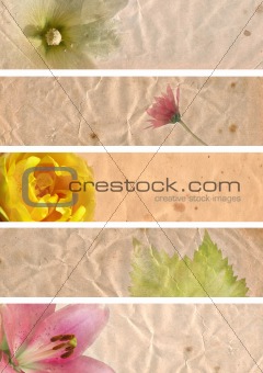 lovely banners with floral elements 