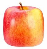 Single square red-yellow apple