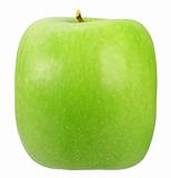 Single square green apple