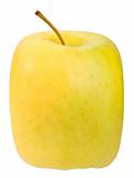 Single square yellow apple