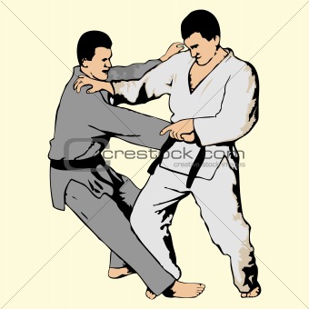 ju-jutsu fighting